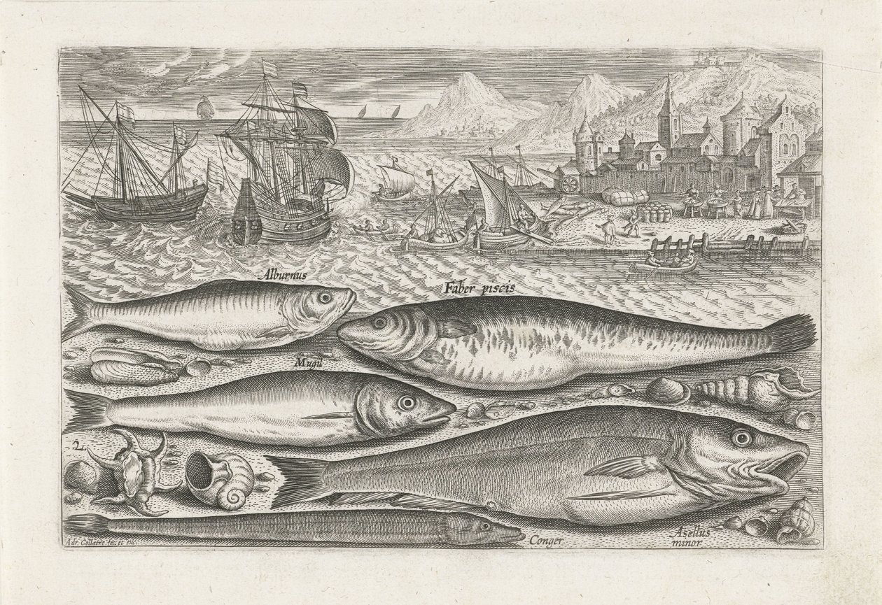 Fem fisker på stranden Fiske (serietittel) Piscium vivae-ikoner (serietittel) av Adriaen Collaert