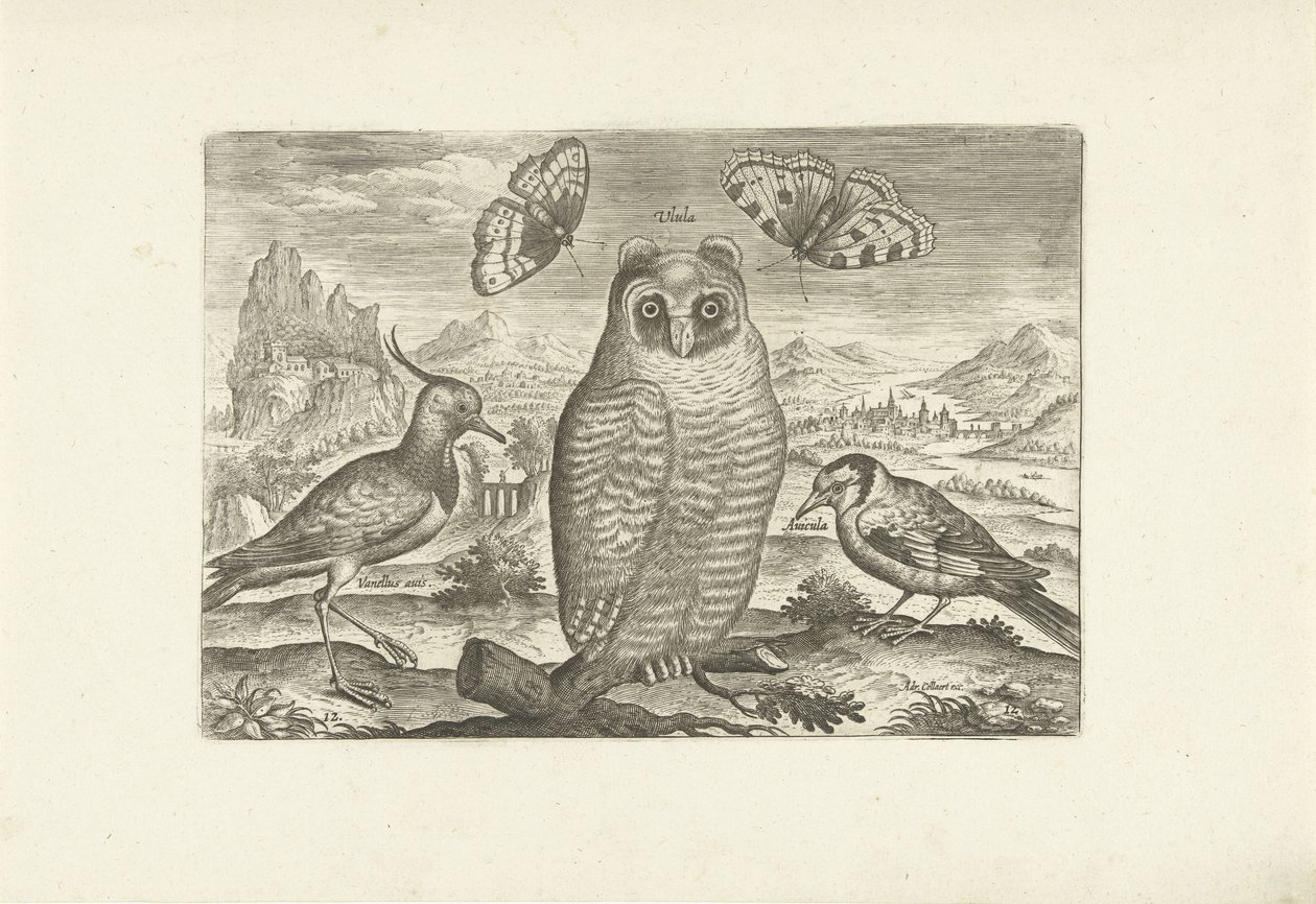 Fugler og sommerfugler i et landskap Fugler (serietittel) Avium vivae (serietittel) av Adriaen Collaert