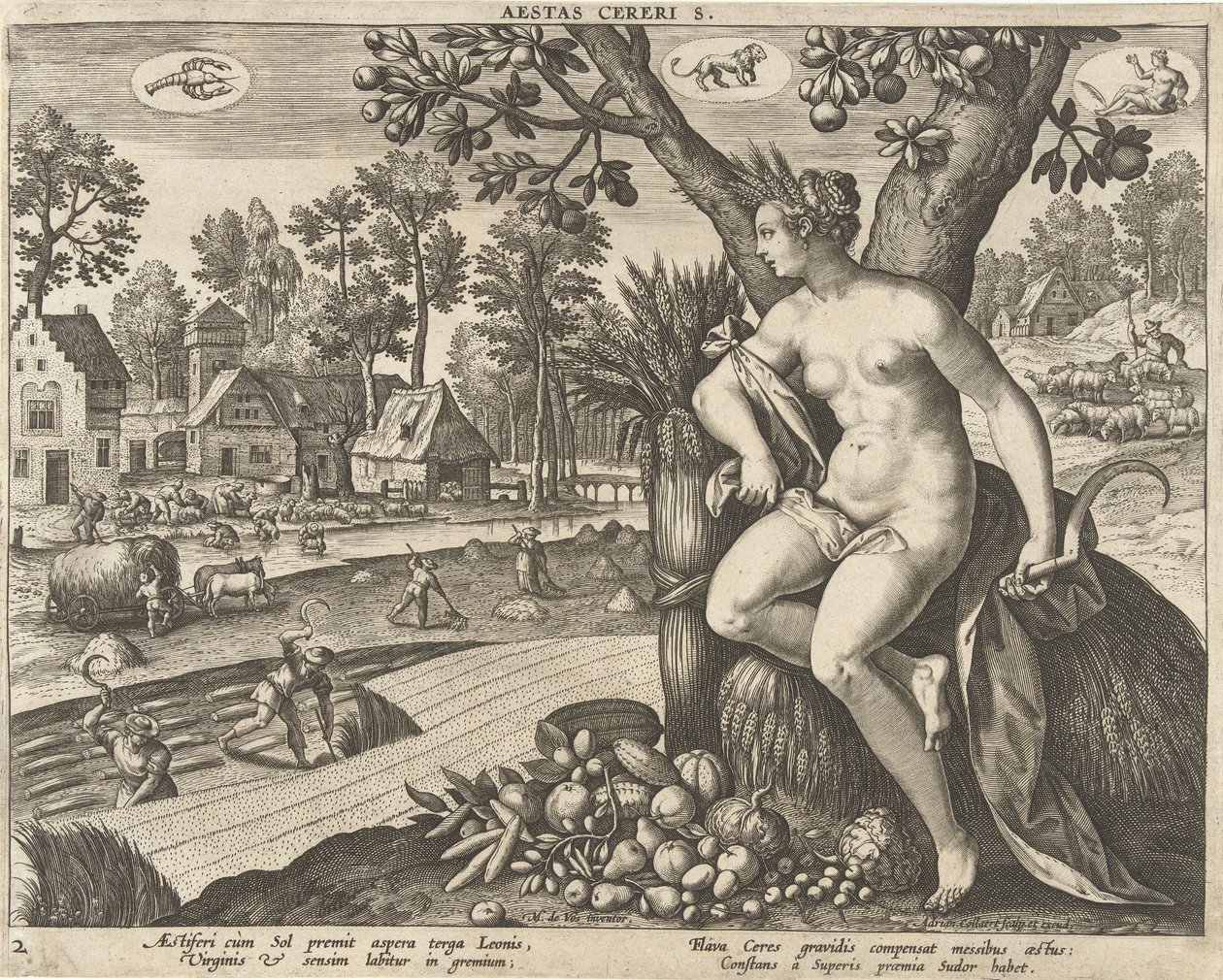 Sommer Aestas cereris. (tittel på objekt) The Four Seasons (serietittel) av Adriaen Collaert