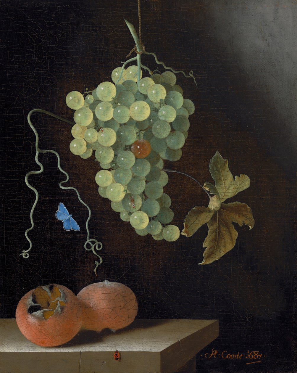 Stilleben med en hengende drueklase, to medlars og en sommerfugl av Adrian Coorte
