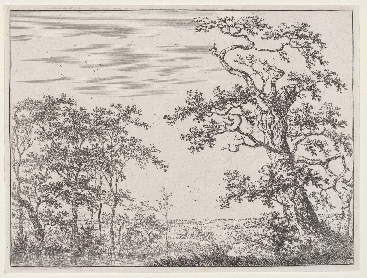 Landskap med en bekk og et eldgammelt tre av Adriaen Hendricks Verboom