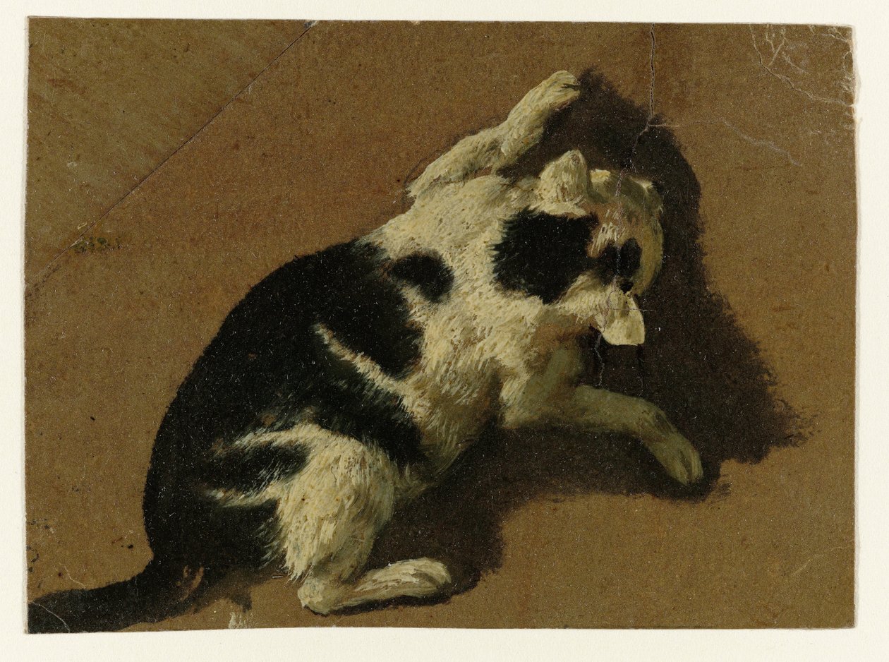 Katt leker nær en vegg av Adriaen van de Velde (attributed to)