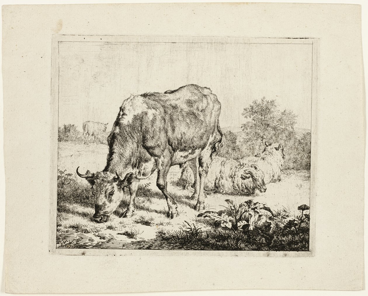 Oksebeite og tre sauer av Adriaen van de Velde