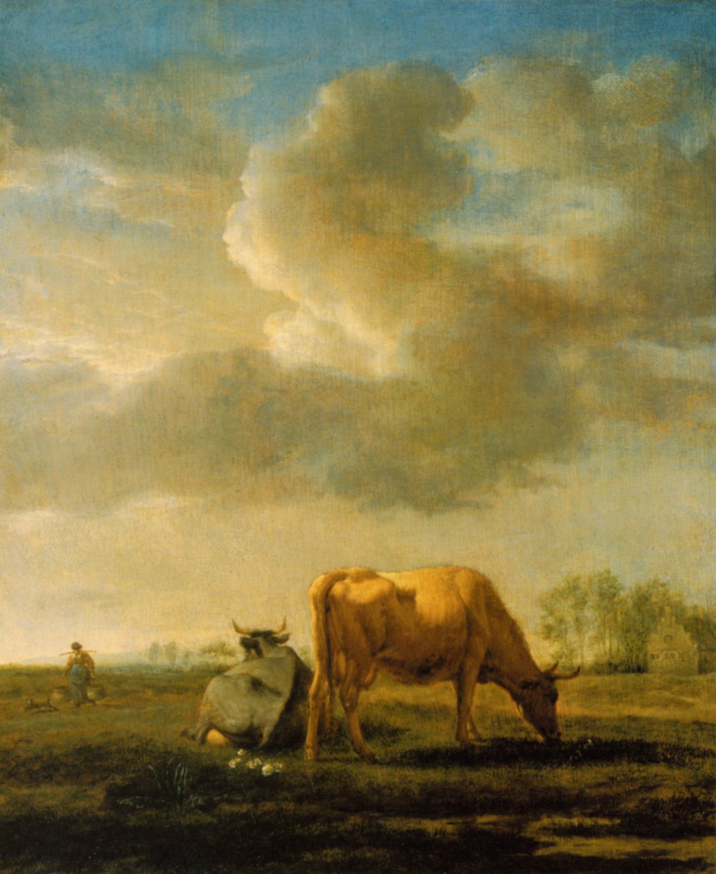 Kyr på et jorde av Adriaen van de Velde