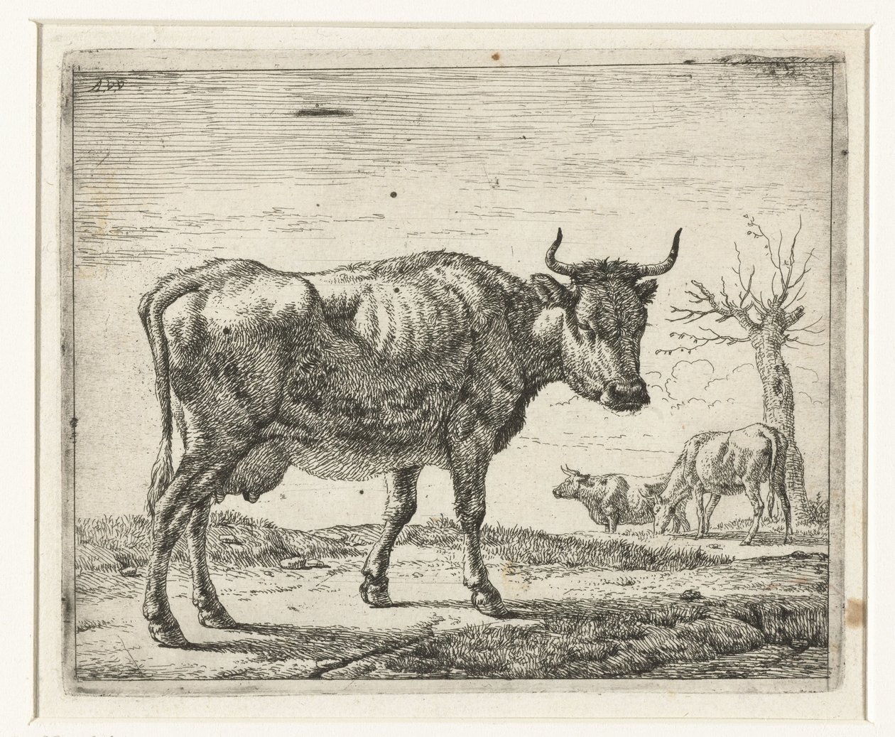 Tre kyr Forskjellige dyr (serietittel) av Adriaen van de Velde