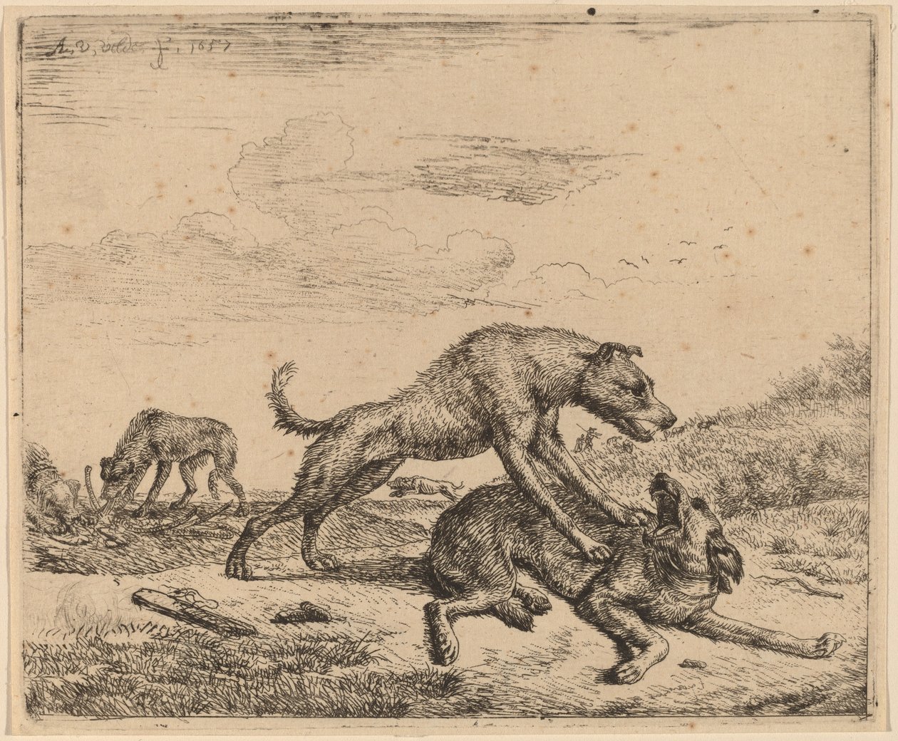 Kamphunder av Adriaen van de Velde