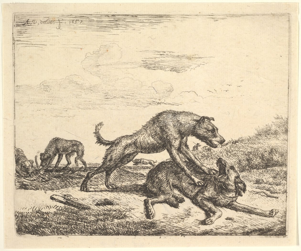 Kamphunder, fra forskjellige dyr, 1657. av Adriaen van de Velde
