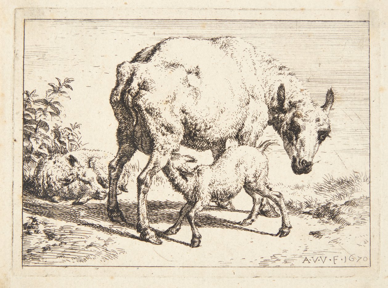 Sau og to lam av Adriaen van de Velde