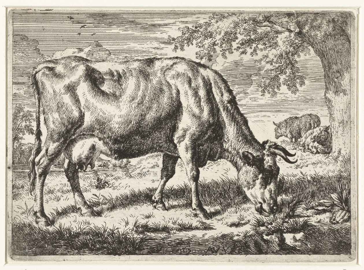 Beitende ku og to sauer Kuer og sauer (serietittel) av Adriaen van de Velde