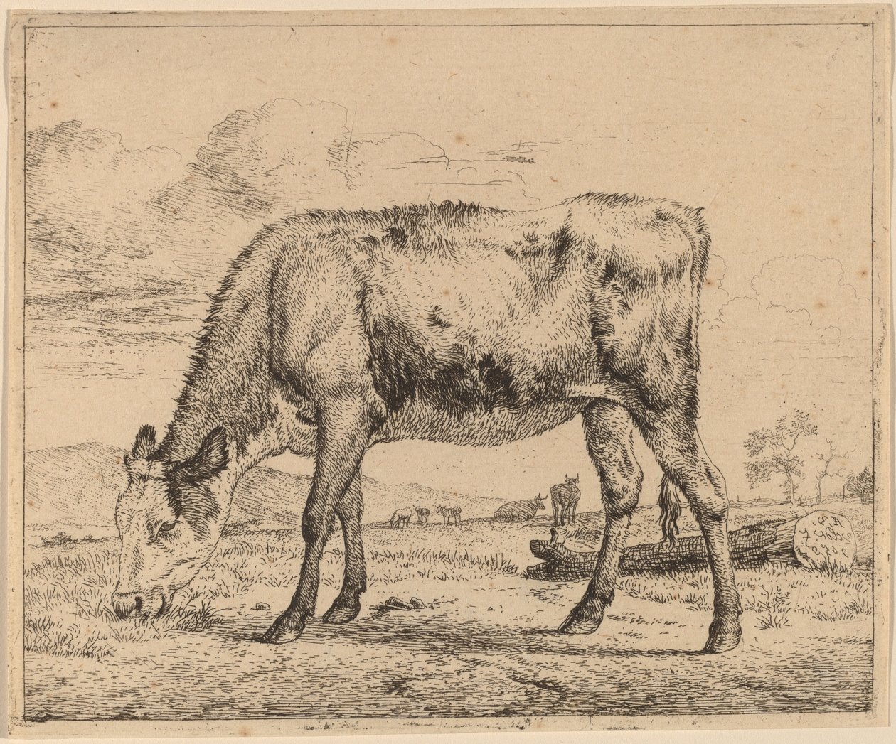 Beitende kalv av Adriaen van de Velde