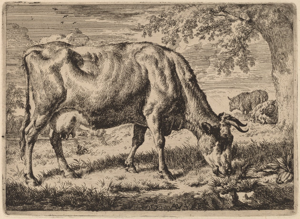 Beitende ku med to sauer av Adriaen van de Velde