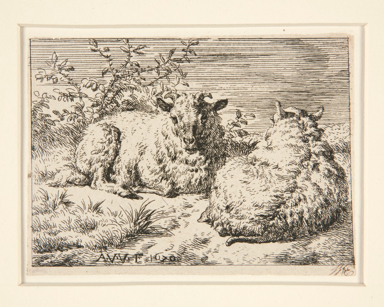 De to sauene av Adriaen van de Velde