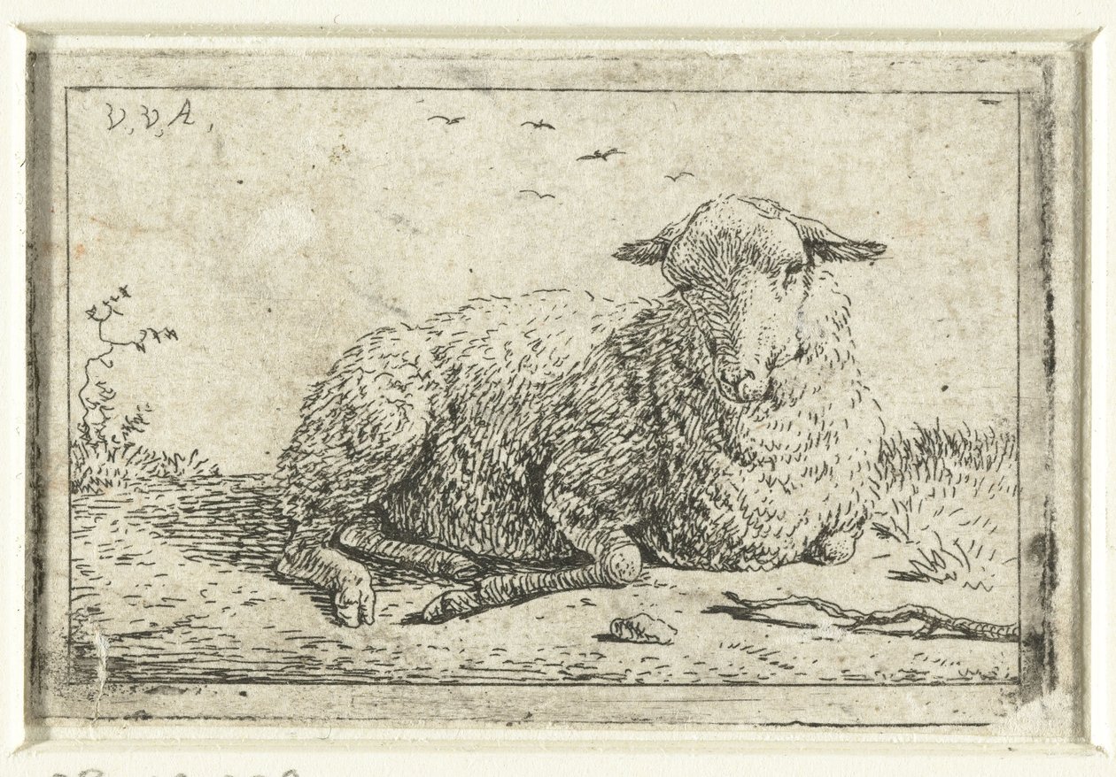 liggende sauer av Adriaen van de Velde