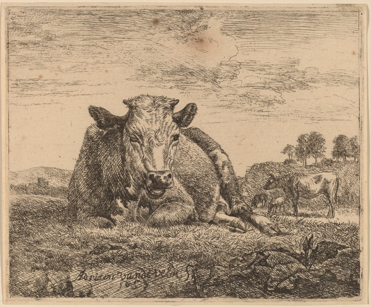 Liggende ku av Adriaen van de Velde