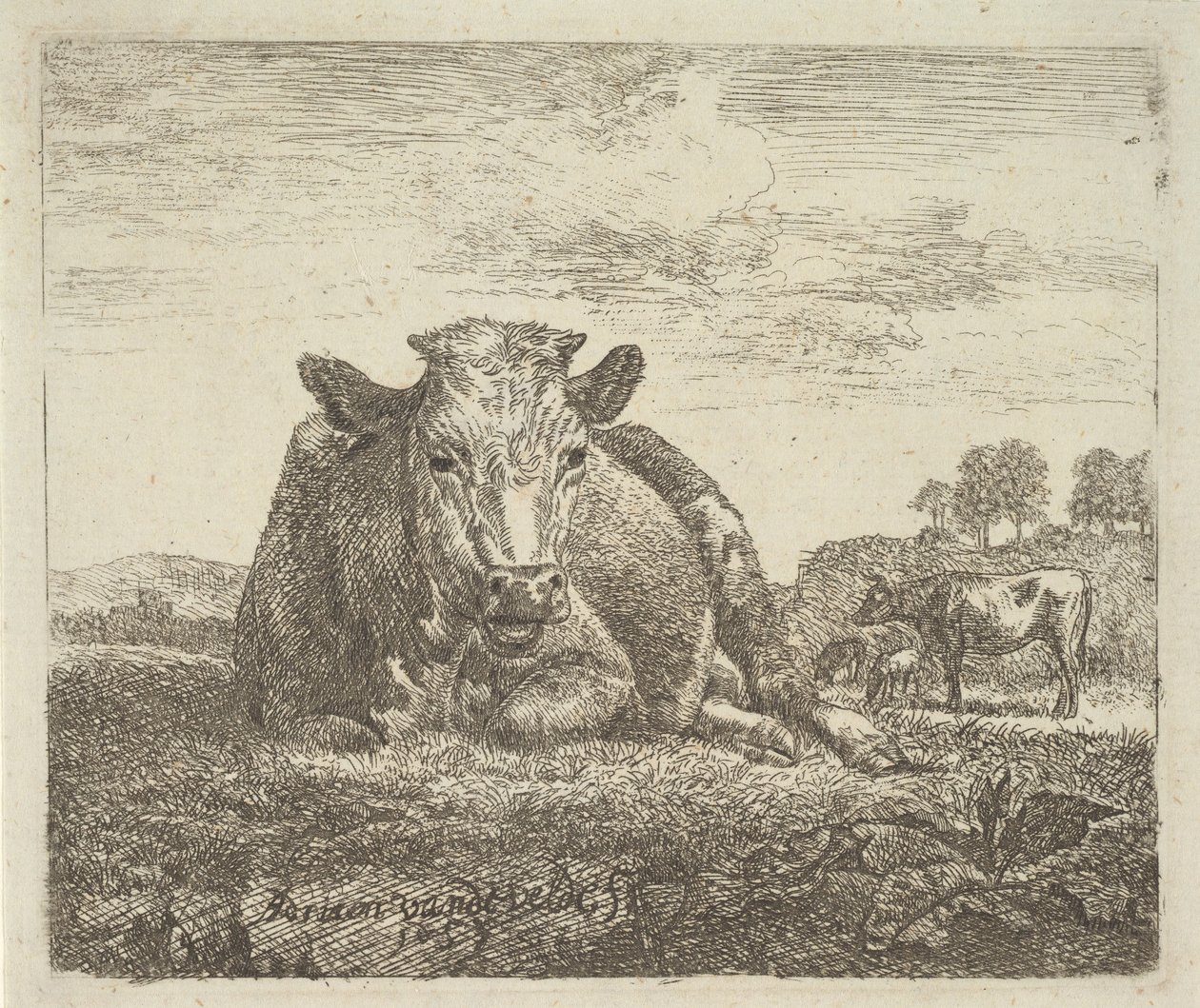 Liggende ku, fra forskjellige dyr, 1657. av Adriaen van de Velde