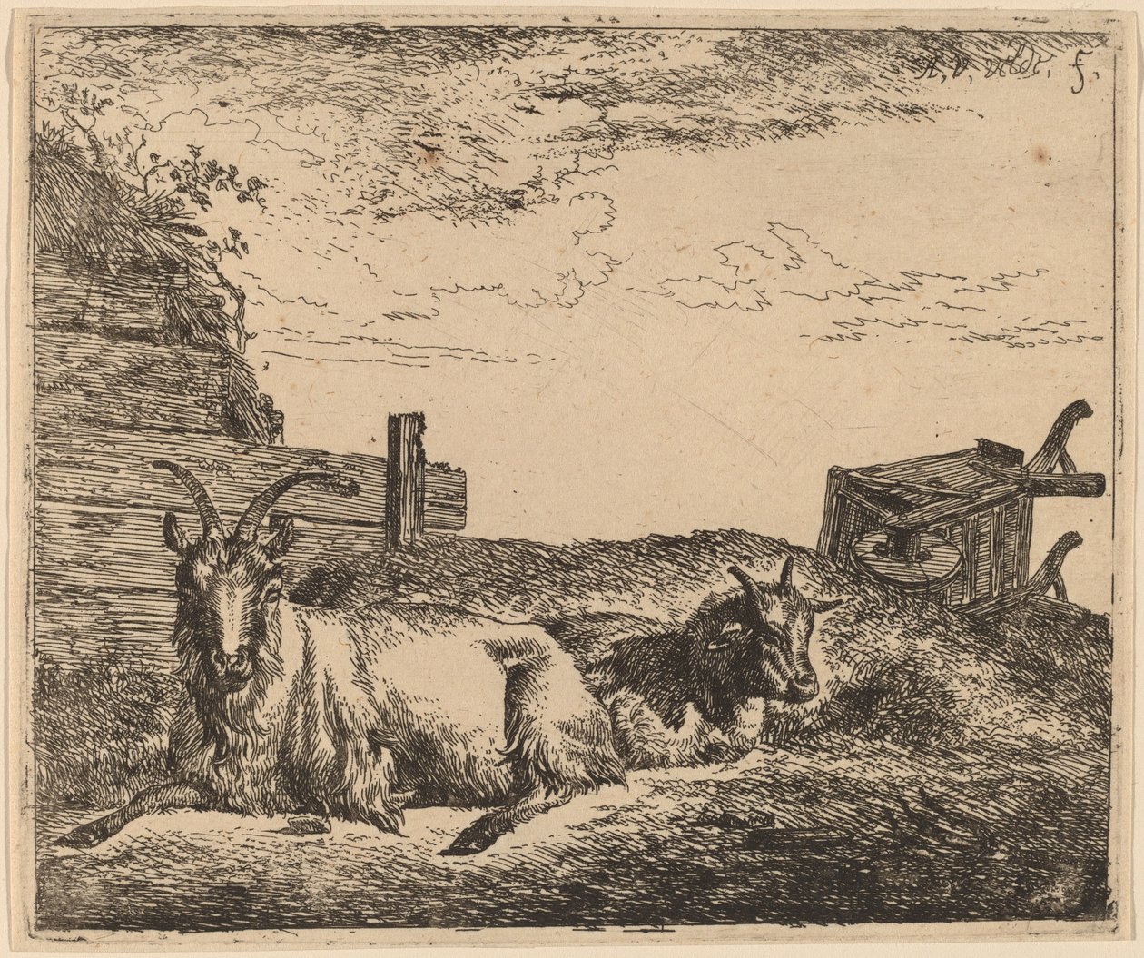 Liggende geiter av Adriaen van de Velde