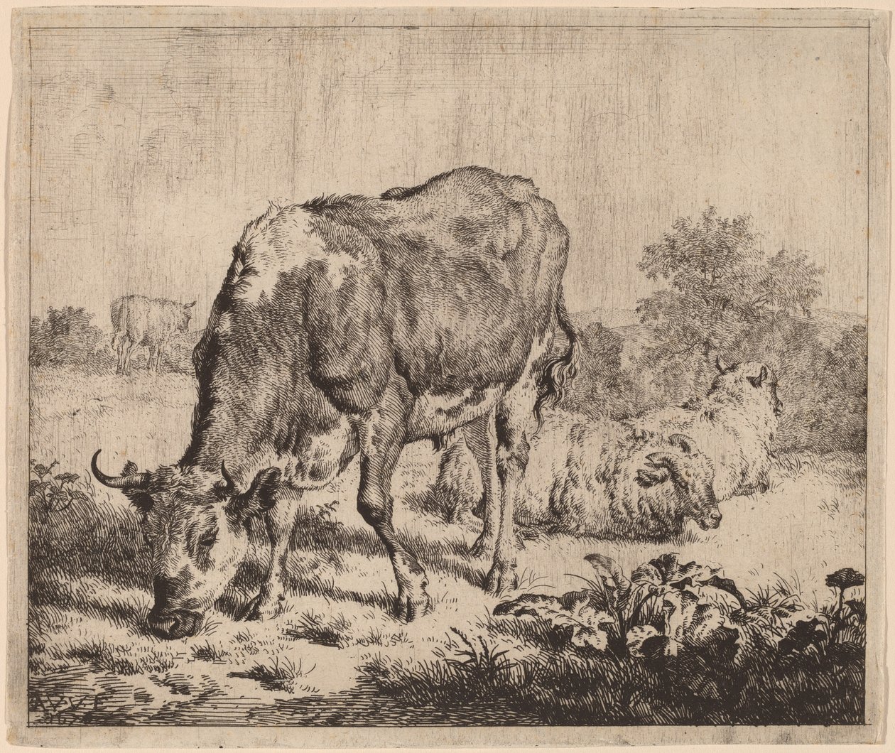 Flekkokse og tre sauer av Adriaen van de Velde