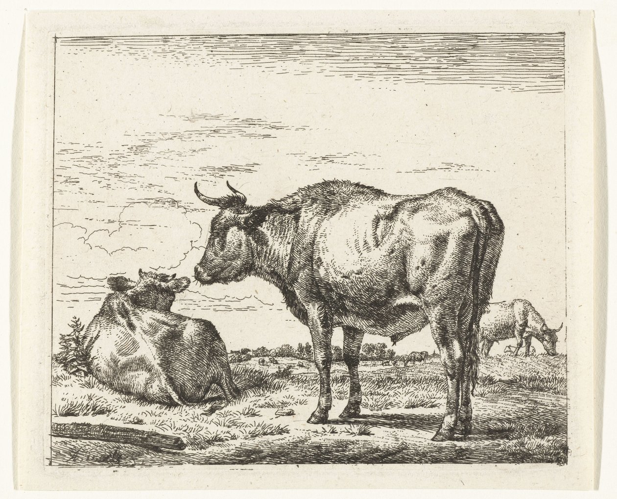 stående okse Forskjellige dyr (serietittel) av Adriaen van de Velde