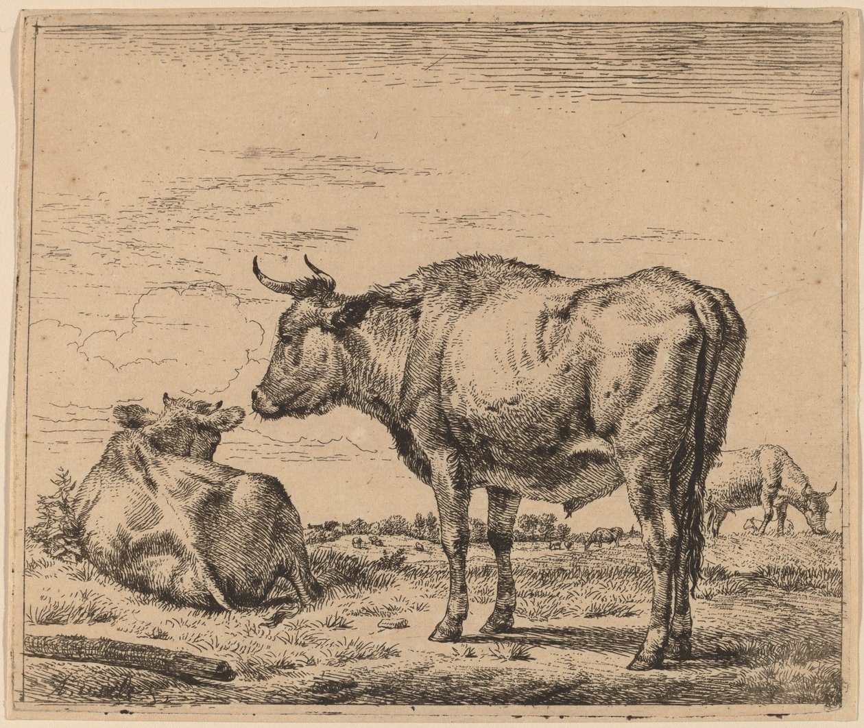 Stående okse av Adriaen van de Velde