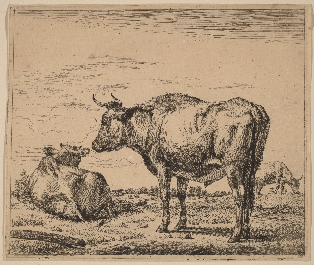 Stående okse av Adriaen van de Velde