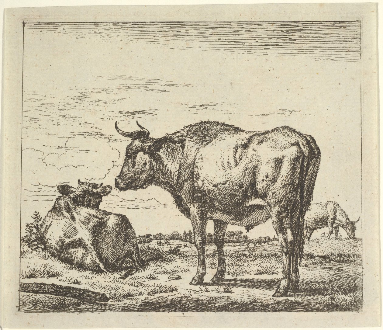 Standing Bull, fra Different Animals. av Adriaen van de Velde