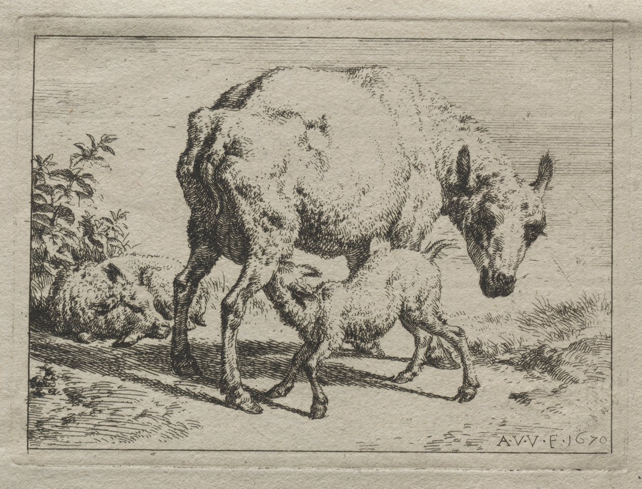 Ewe og to lam, 1670. av Adriaen van de Velde