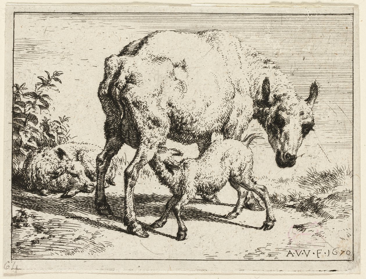Lammet av Adriaen van de Velde