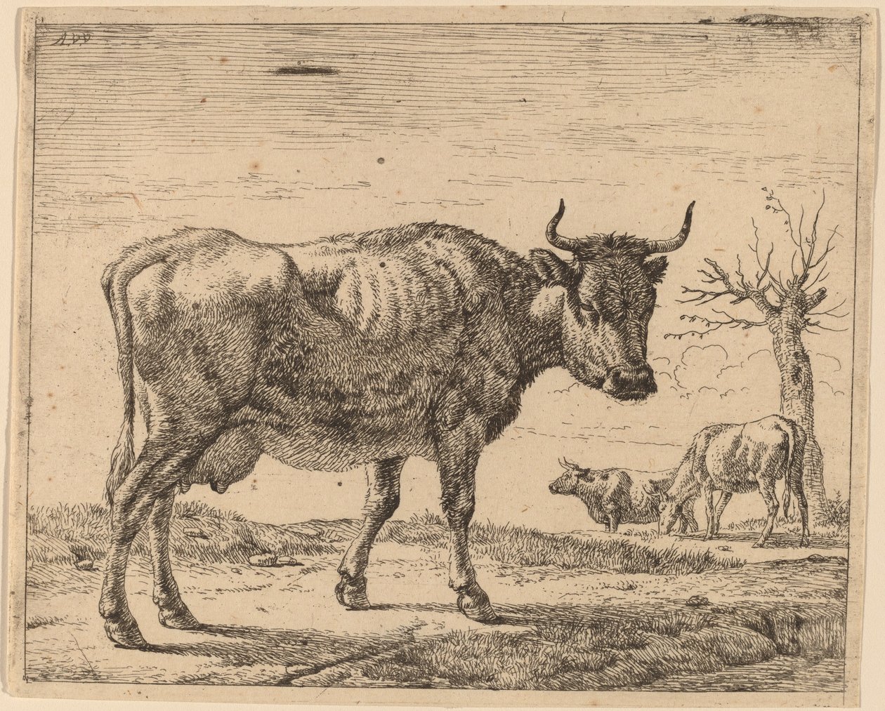 Tre kyr av Adriaen van de Velde