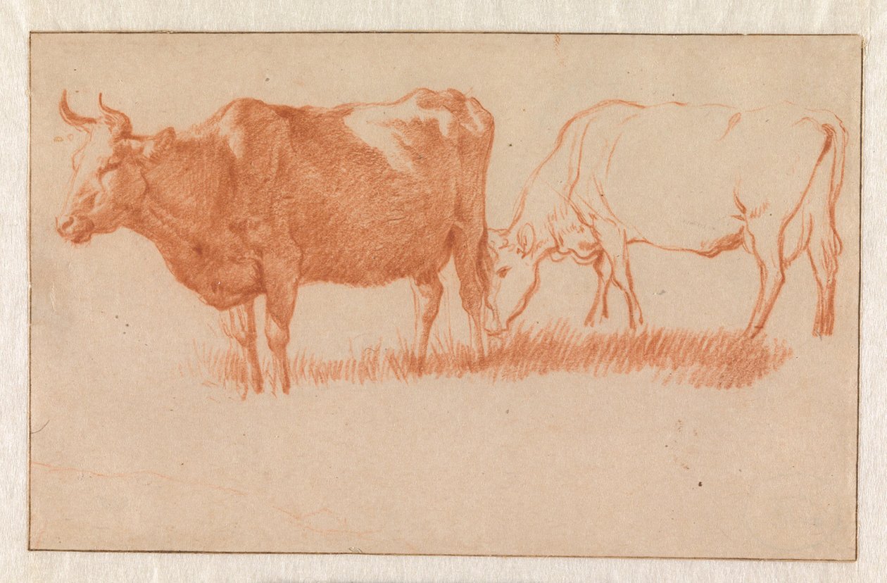 To kuer av Adriaen van de Velde