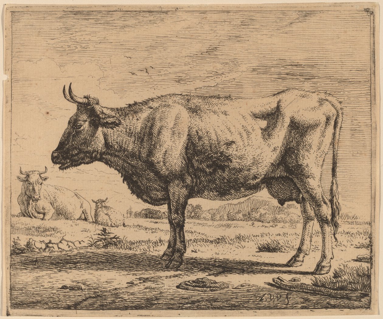 To kyr og en sau av Adriaen van de Velde