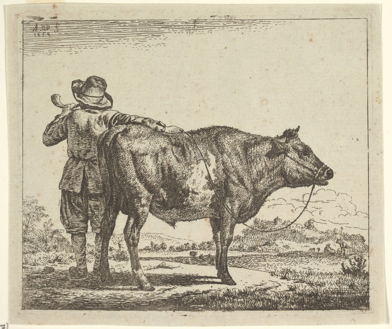 Ung gjeter med en okse, fra forskjellige dyr, 1659. av Adriaen van de Velde