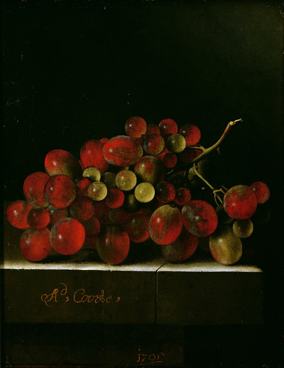 Grapes, 1705 (olje på papir på panel) av Adrian Coorte