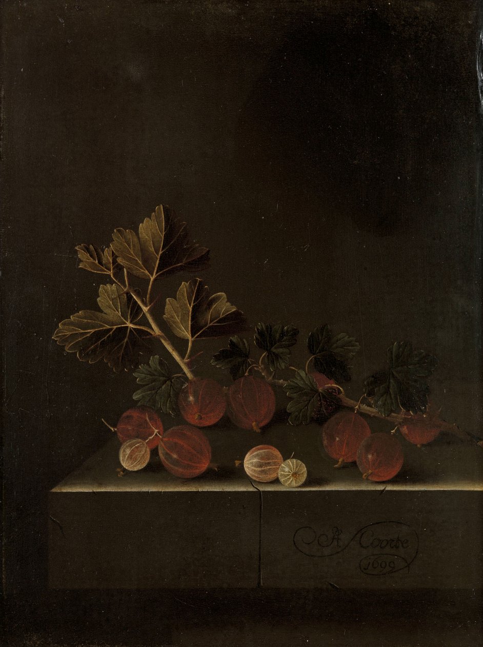 En kvist stikkelsbær på en steinsokkel, 1699 av Adrian Coorte