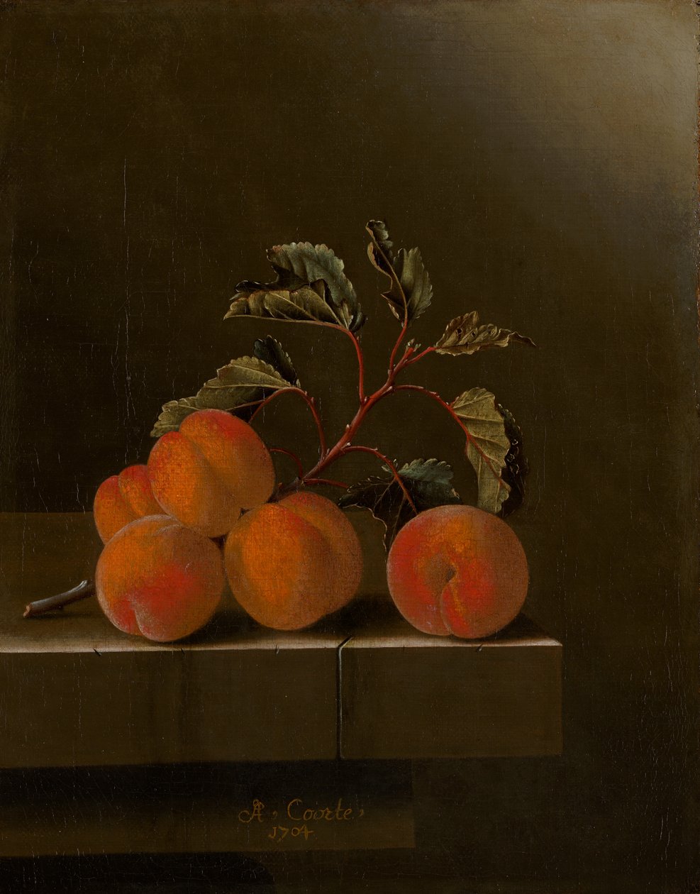 Stilleben med fem aprikoser, 1704 av Adrian Coorte