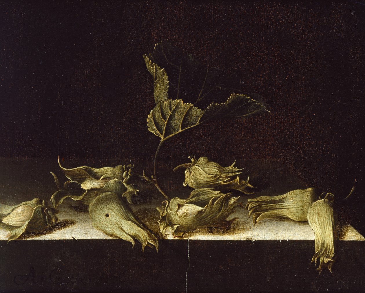 Stilleben med hasselnøtter, 1696 (olje på papir) av Adrian Coorte