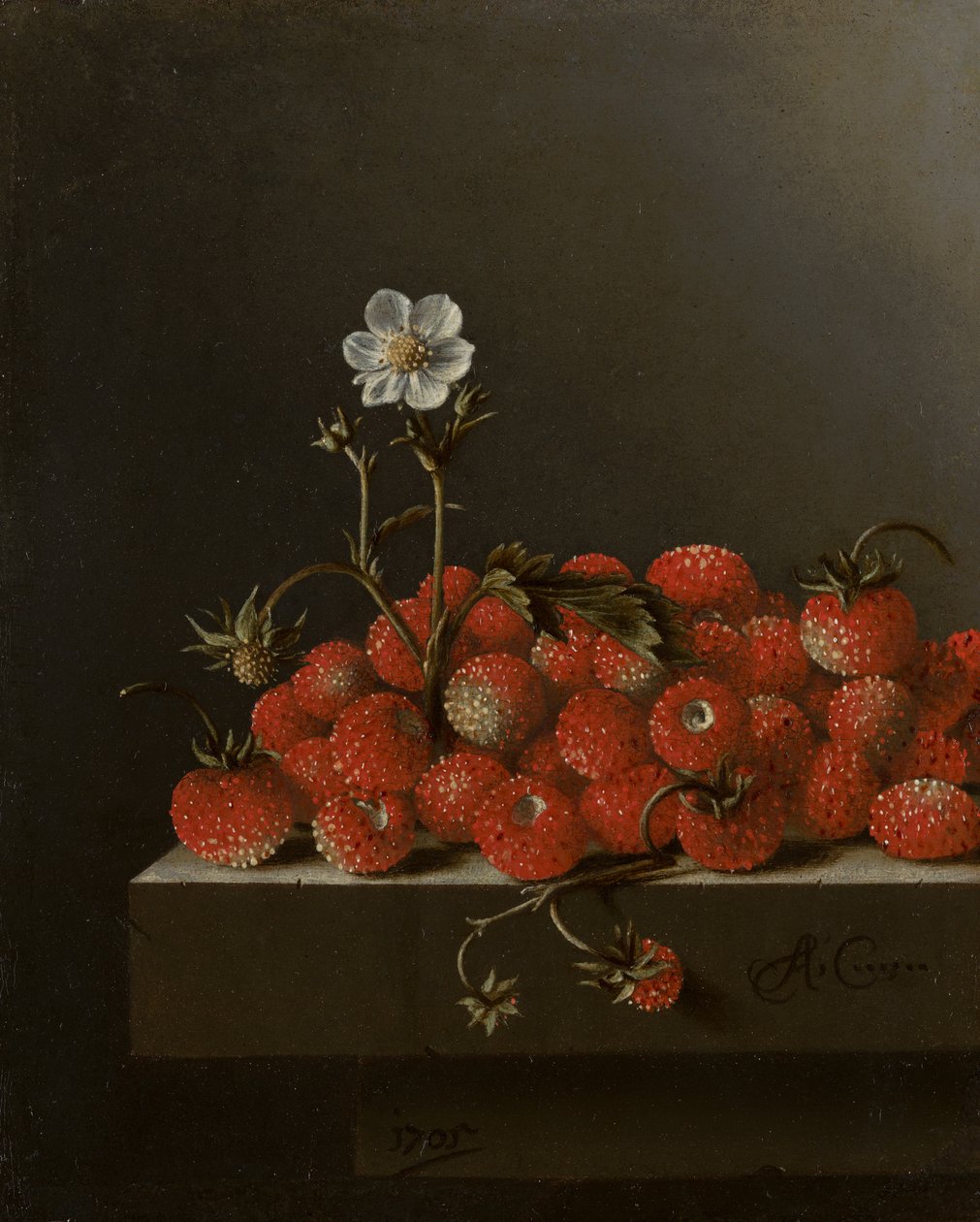 Stilleben med ville jordbær, 1705 (olje på papir på panel) av Adrian Coorte
