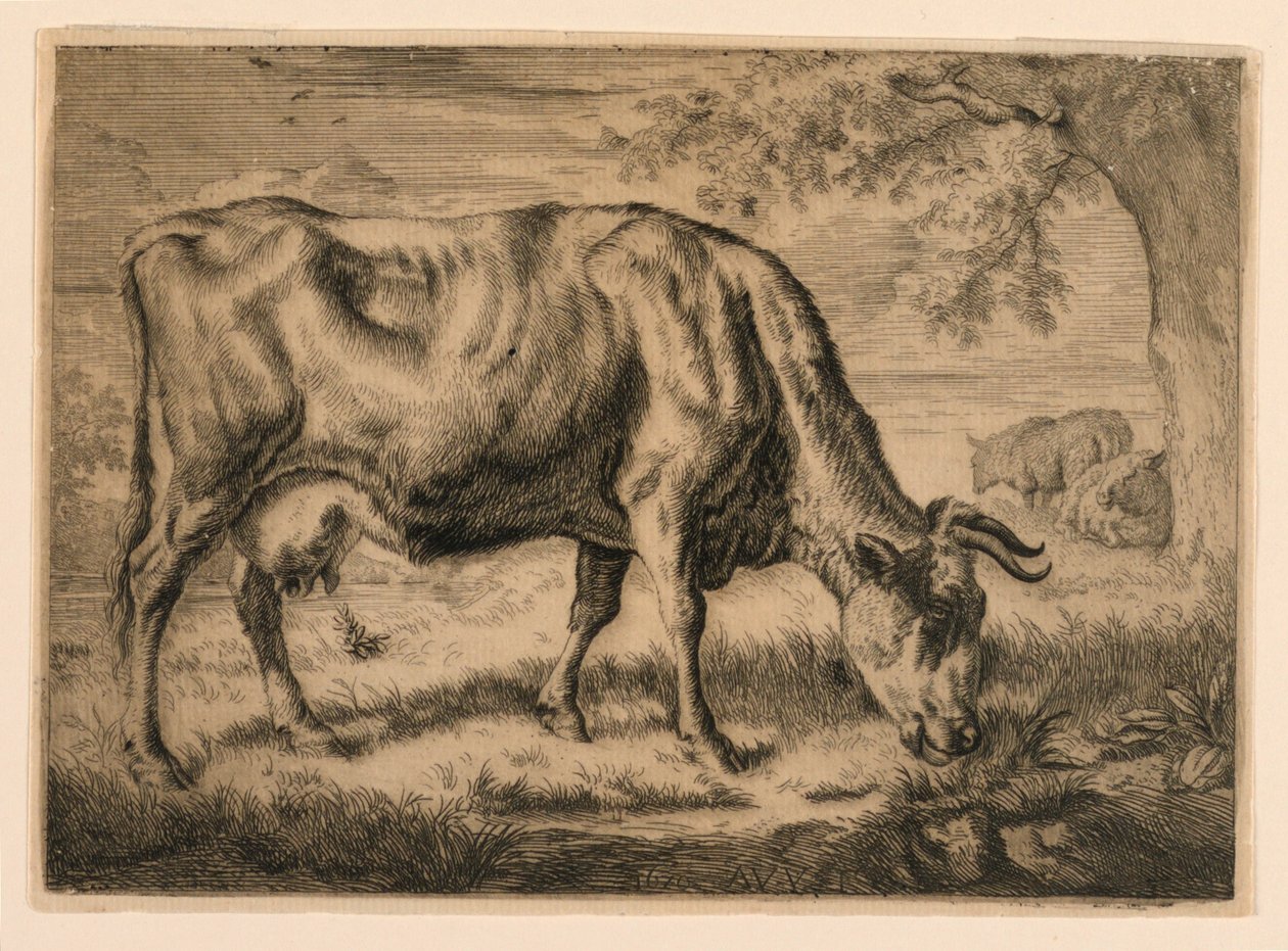 Ku og to sauer ved foten av et tre av Adrian van de Velde