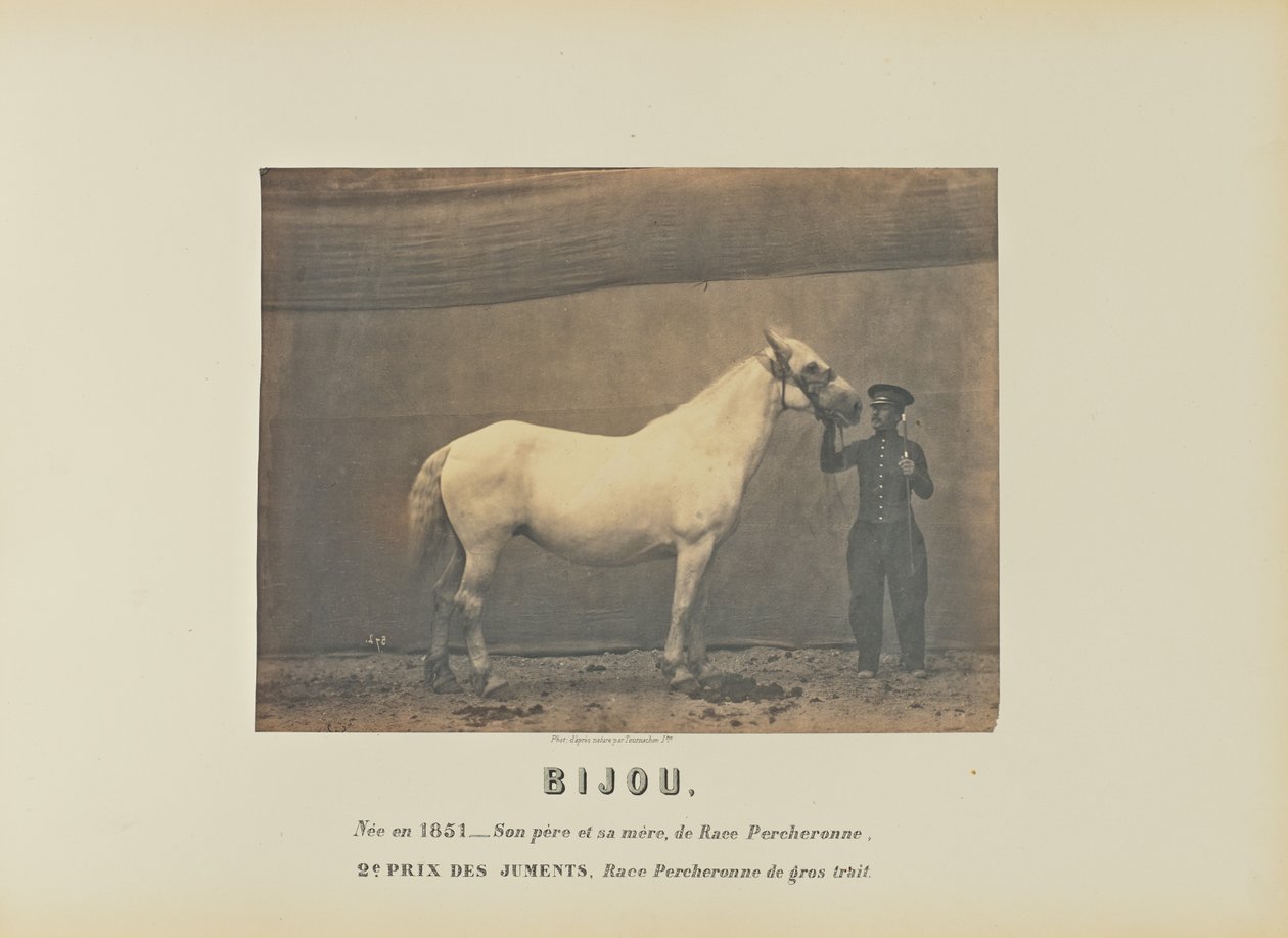  av Adrien Alban Tournachon