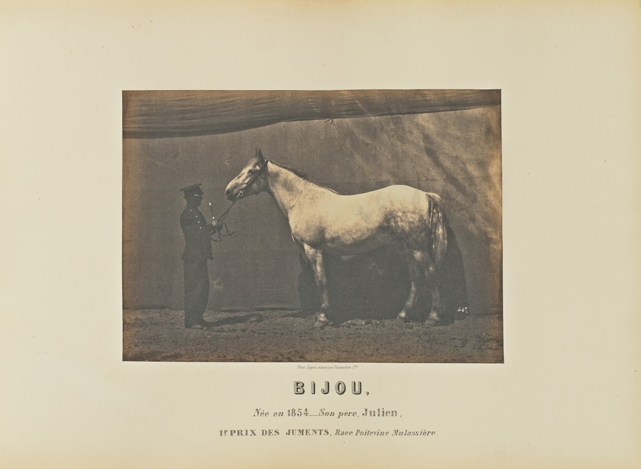  av Adrien Alban Tournachon