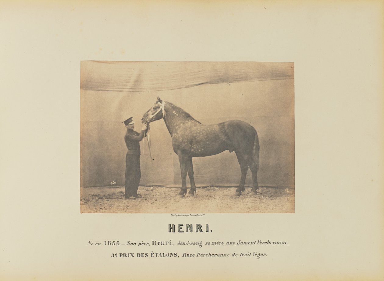 av Adrien Alban Tournachon