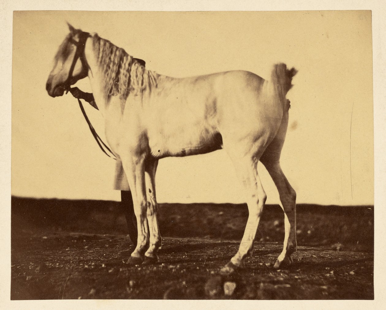  av Adrien Alban Tournachon