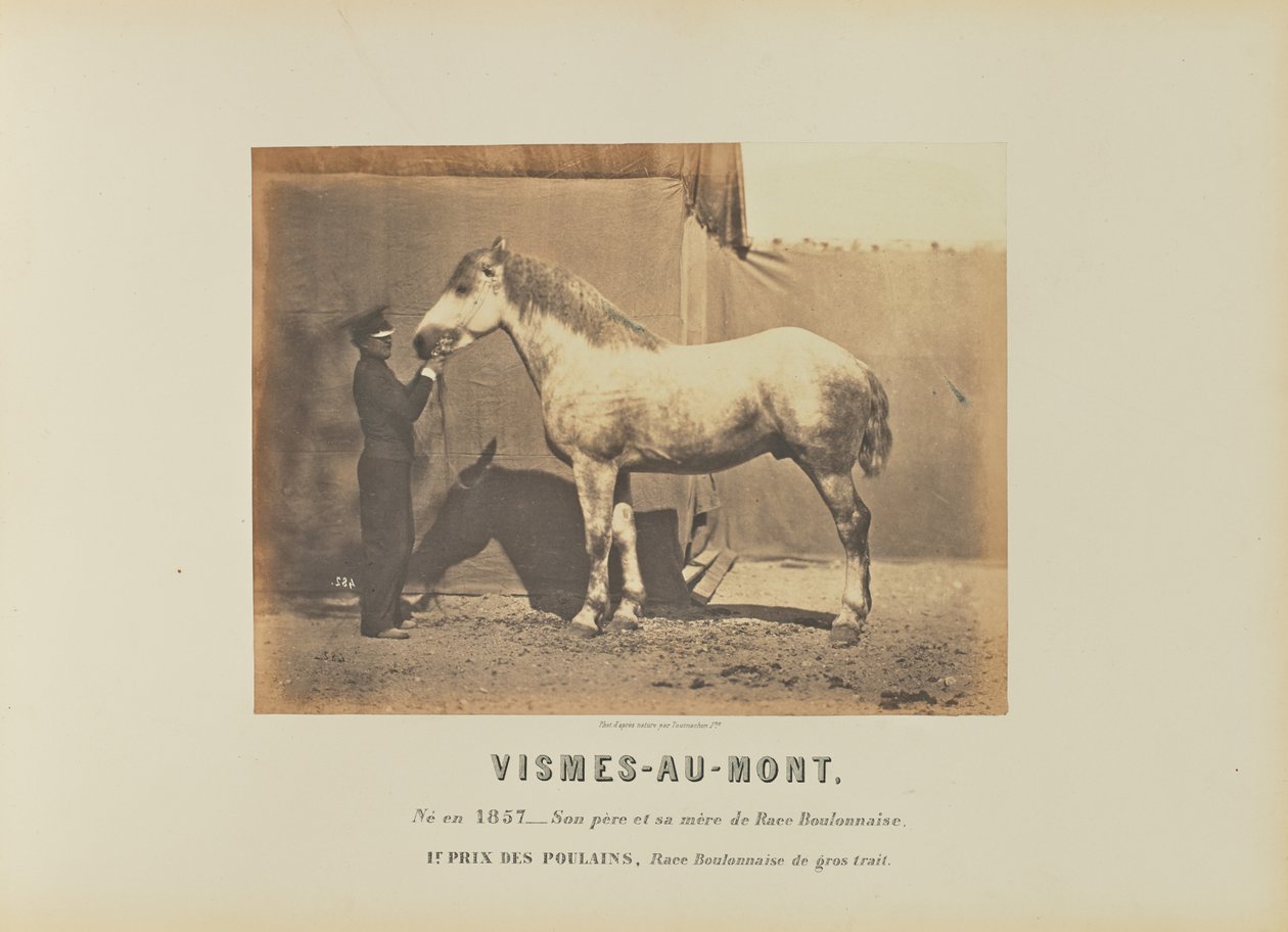  av Adrien Alban Tournachon