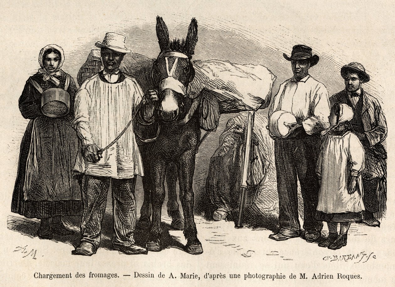 Lasting av oster på baksiden av et muldyr, mot kjellerne i Roquefort, gravering etter en tegning av A.Marie, som illustrerer en reise til Roquefort og dens omgivelser, av Adrien Roques og Jules Charton, i 1874, publisert i "" Le tour du monde""" av Adrien Emmanuel Marie