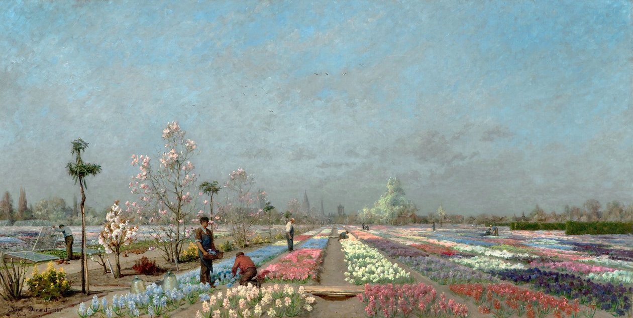 Hyacinth Fields in Bloom ved Van Houtte Nursery, Gent med utsikt over Saint Nicholas
