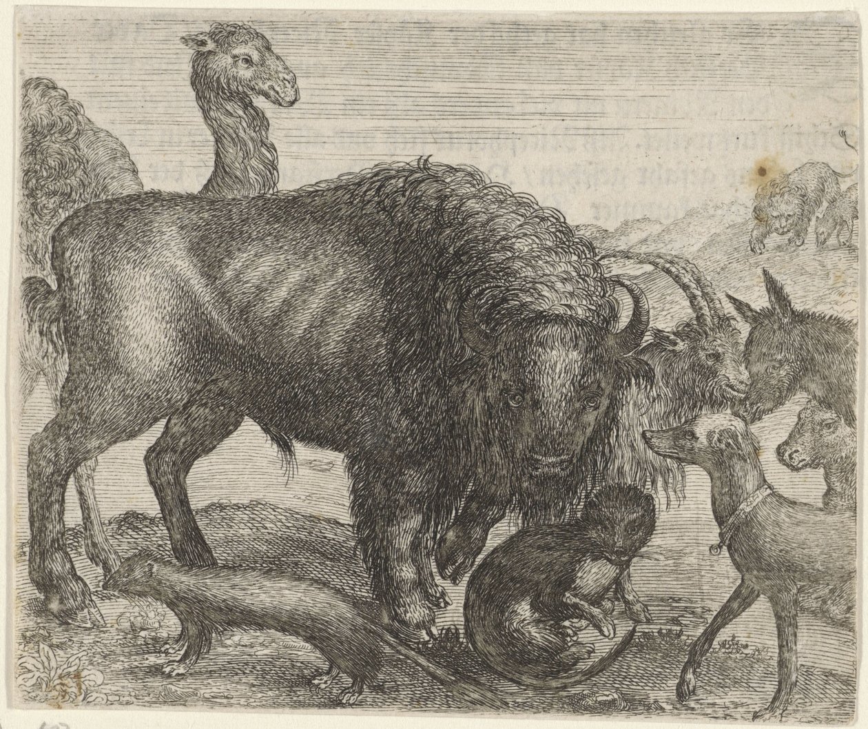 Fabel om bisonen og de andre dyrene av Egidius  Sadeler (II)