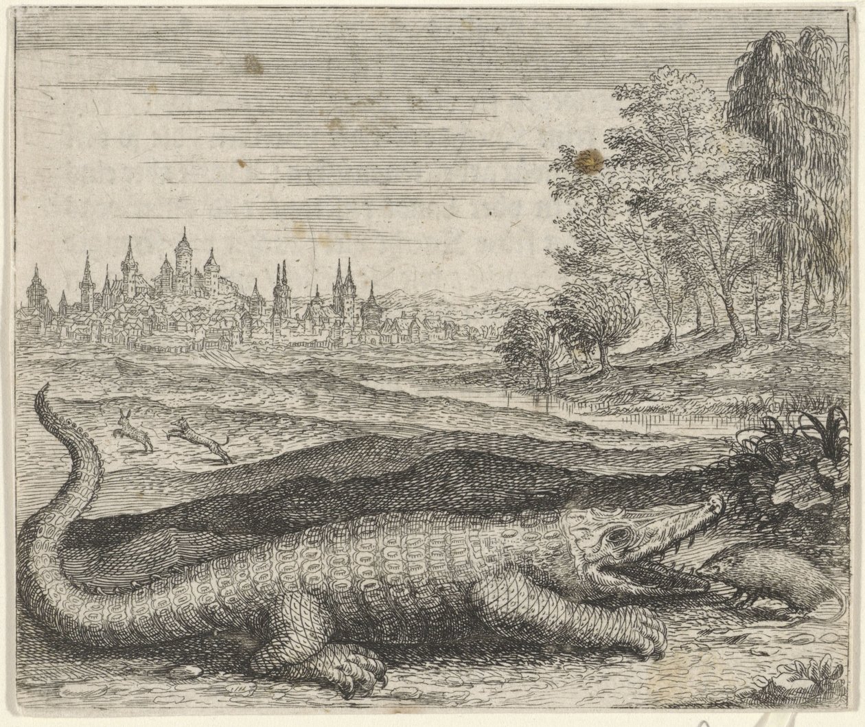 Fabel om krokodille og mangust av Egidius  Sadeler (II)
