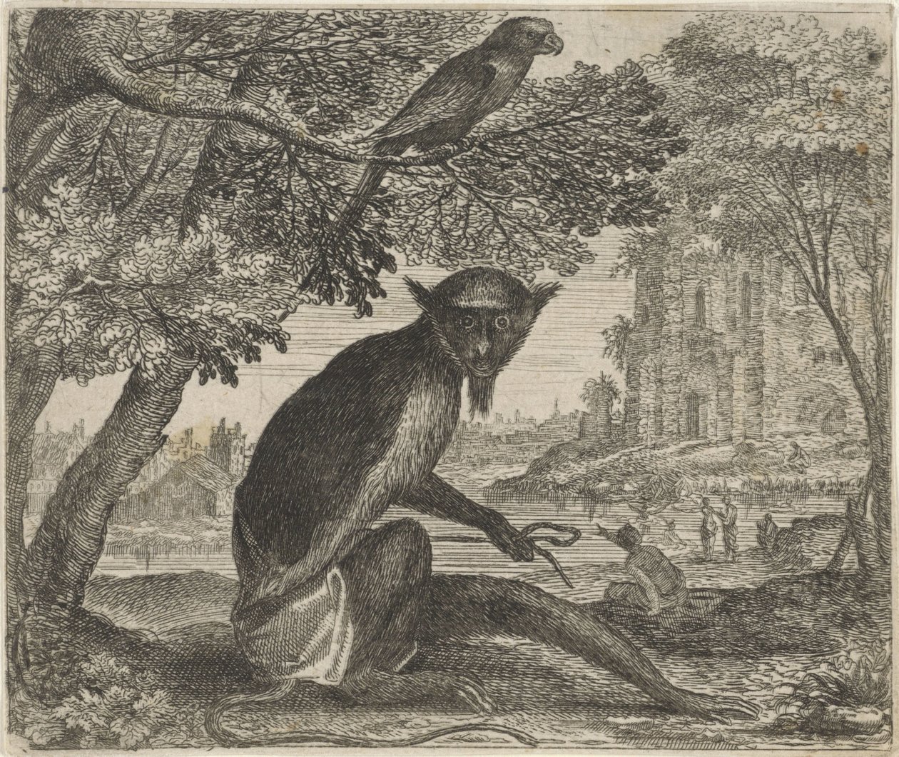 Fabel om papegøyen og apen av Egidius  Sadeler (II)