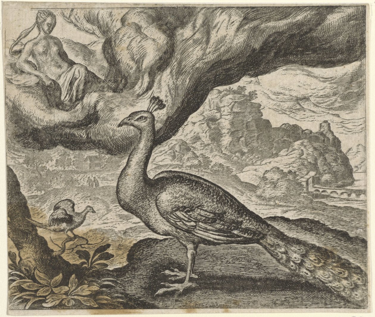 Fabel om påfuglen og nattergalen av Egidius  Sadeler (II)
