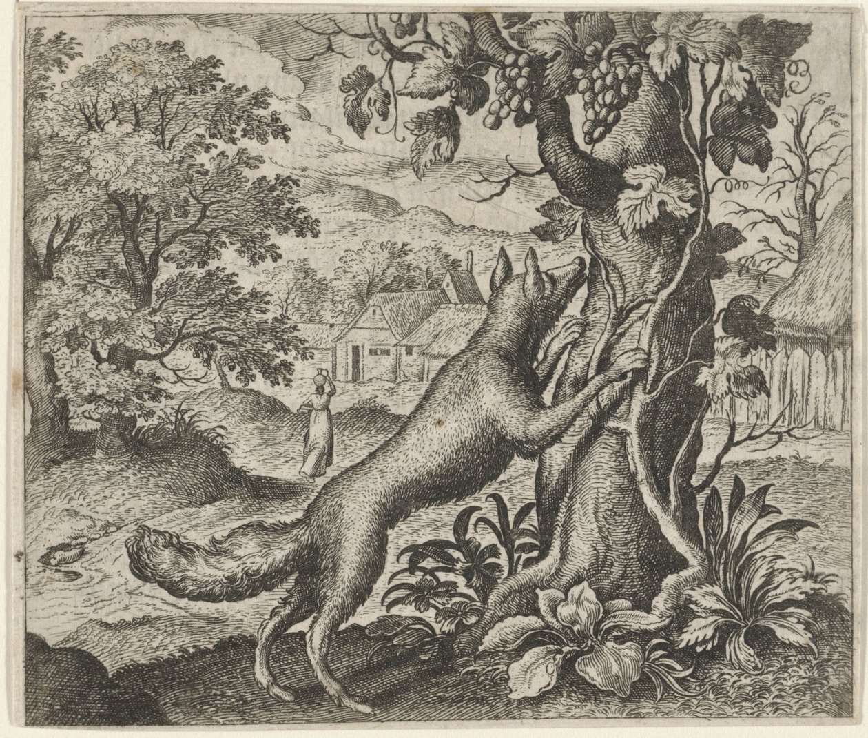 Fabel om reven og druene av Egidius  Sadeler (II)