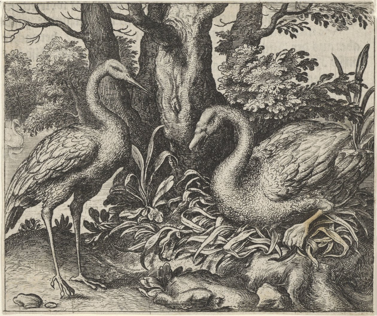 Fabel om svanen og storken av Egidius  Sadeler (II)